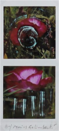 GALIMBERTI MAURIZIO (COMO 1956), BiFlowers, Polaroid Dittico Anni 2000 Dim....