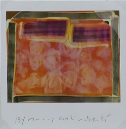 GALIMBERTI MAURIZIO (COMO 1956), StudioFlowers, Polaroid singola Anni 2000...