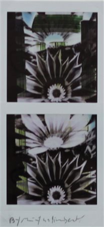 GALIMBERTI MAURIZIO (COMO 1956), BiFlowers, Polaroid Dittico Anni 2000 Dim....