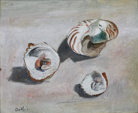 DOLFI MARCO (VIAREGGIO 1953), Conchiglie, Olio su faesite Dim. 40x50 Firmato...