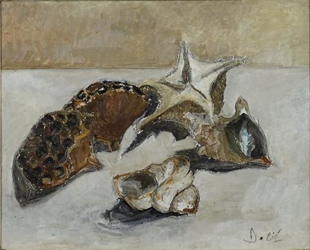 DOLFI MARCO (VIAREGGIO 1953), Conchiglie, Olio su faesite Dim. 40x50 Firmato...