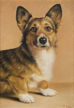 T. Allen "Welsh Corgi" olio su tela (cm 34x24) Firmato in basso a destra. In...