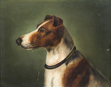 Ignoto "Fox Terrier" olio su cartone (cm 17x20) In cornice-ENAnonymous "Fox...