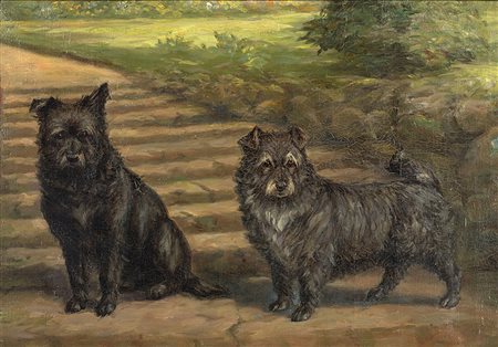 Scuola del secolo XIX "Cairn Terrier in un giardino" olio su tela (cm 35x50)...