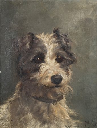 Scuola inglese inizio secolo XX "Ritratto di Cairn Terrier" olio su tela (cm...