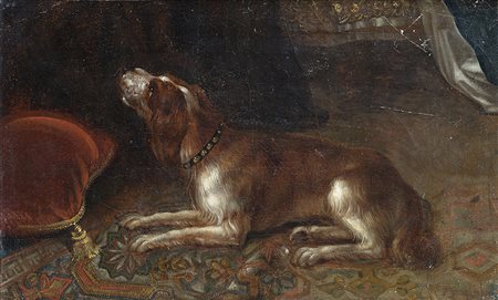 Ignoto "Springer Spaniel in un interno" antico frammento ad olio su tela (cm...