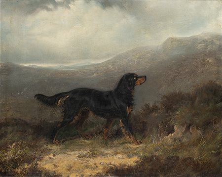 Firma indecifrata "Setter Gordon in un paesaggio" olio su tela (cm 36x45)...