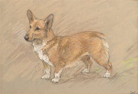 Scuola inglese, secolo XIX "Welsh Corgi" matita e pastelli su carta (cm...