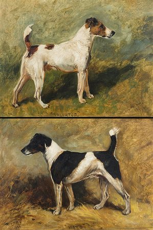 John Emms (Norfolk 1843 - Lyndhurst 1912)"Visto e Valuator. Fox Terriers"...