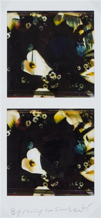 MAURIZIO GALIMBERTI (1956)BiFlowers, 2017Dittico di polaroidcm 15,5x7,3Firma...