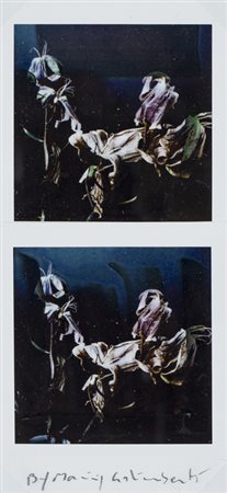 MAURIZIO GALIMBERTI (1956)BiFlowers, 2017Dittico di polaroidcm 15,5x7,3Firma...