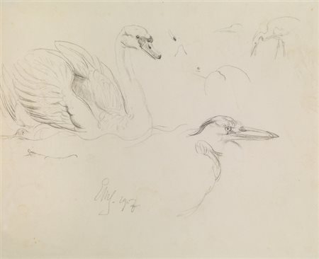 Ernst Moritz Geyger COPPIA DI DISEGNI Studi di cigno e aironi. Matita di...