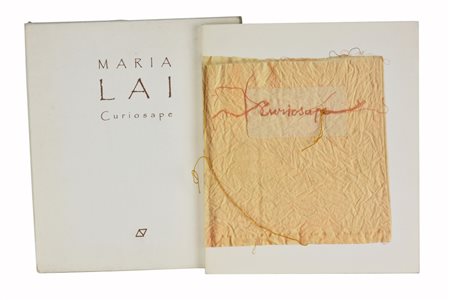 Maria Lai CURIOSAPE libro d'arte, cm 24,5x28,5 A.D. Arte Duchamp, Cagliari...