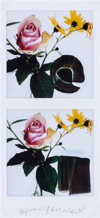 MAURIZIO GALIMBERTI (1956)BiFlowersDittico di polaroidcm 15,5x7,3Firma al...