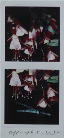 MAURIZIO GALIMBERTI, BiFlowers, Polaroid Dittico Anni 2000 Dim. 7,3x15,5...