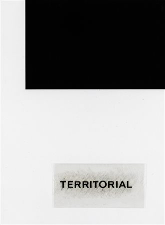 Vincenzo Agnetti 1926 - 1981 Territorial - 1971 tecnica Letraset e collage su...