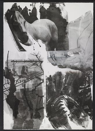 RAUSCHENBERG ROBERT (1925 - 2008) Horse silk. 1993. Litografia offset. Cm...