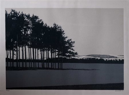 Gino Guida, Paesaggio con alberi 1972 Litografia n.112/200, 50cm x 70cm....