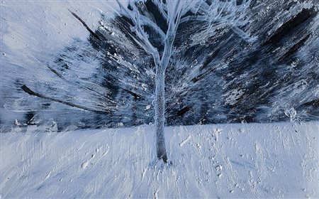 Massimo Motta, Inverno 2017 Fotografia ibrida con pittura montata su forx...