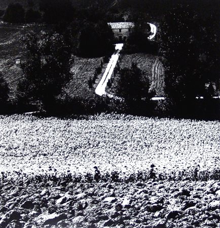 Eriberto Guidi 1930, Fermo (Fm) - 2016, Fermo (Fm) - [Italia] Campi quadrati...