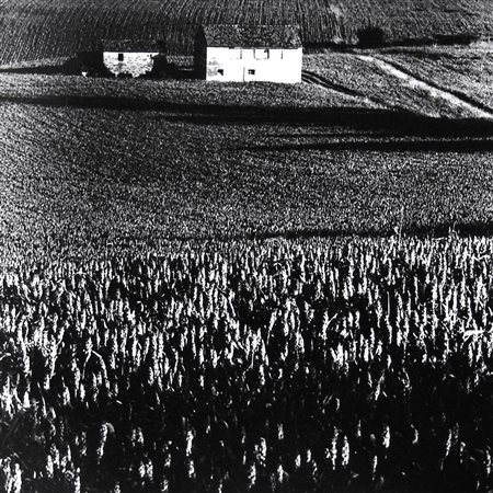 Eriberto Guidi 1930, Fermo (Fm) - 2016, Fermo (Fm) - [Italia] Campi quadrati...