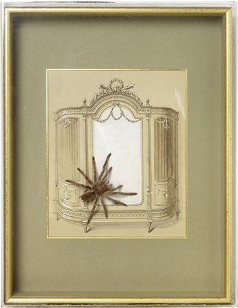 Daniel Spoerri, Galati 1930, La mygale dans l'armoire, 1993, Détrompe l'oeil,...