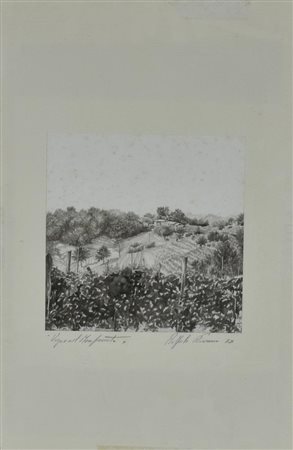 Raffaele Nocerino VIGNE DEL MONFERRATO acquarello su carta, cm 21x21 sul...