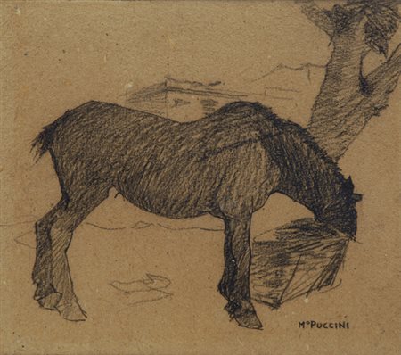 Mario Puccini (Livorno, 1869 - Firenze, 1920) Cavallo Matita su carta, cm....