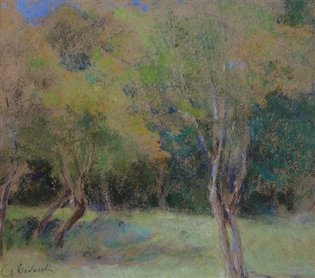 AMEDEO TEDESCHI, Studio di alberi