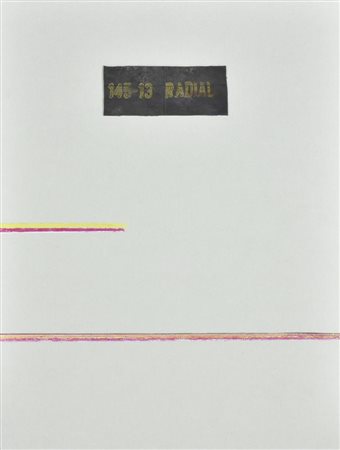 Carol Rama LUOGO E SEGNI pastelli su carta e gomma applicata, cm 41,5x30,5...