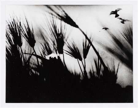 MARIO GIACOMELLI, Spoon River, 1967-1973