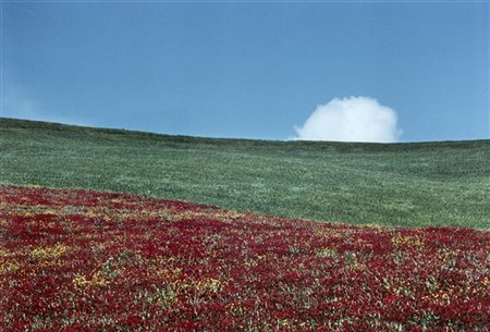 Franco Fontana Paesaggio 1970

Stampa fotografica a colori procedimento Cibachro