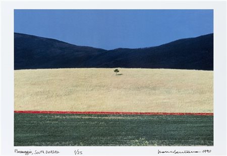 Franco Fontana Paesaggio, South Dakota 1990

Stampa fotografica a colori procedi