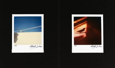 Augusto De Luca Astrazione 1985

Dittico composto da due polaroid a colori.
Cias