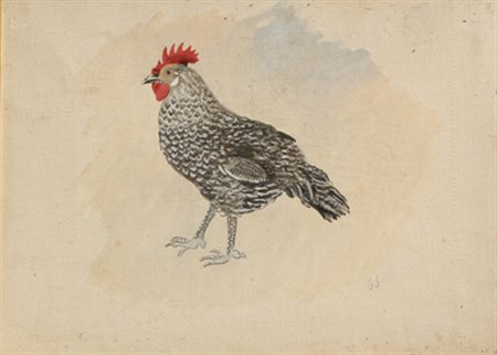 SEVERINI Gino Cortona 1883 - Parigi 1966 Il gallo tempera su carta riportata...