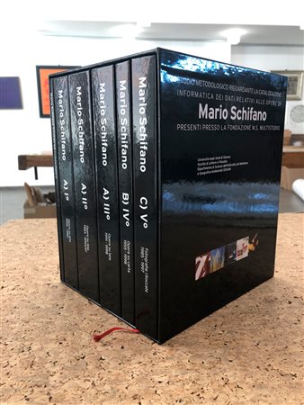 MARIO SCHIFANO - Studio metodologico riguardante la catalogazione informatica dei dati relativi alle opere di Mario Schifano presenti presso la Fondazione M.S. Multistudio
