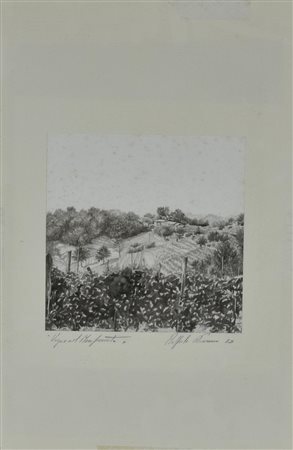 Raffaele Nocerino VIGNE DEL MONFERRATO acquarello su carta, cm 21x21 firma,...