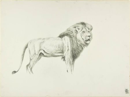 Profile of a Lion,XX Century