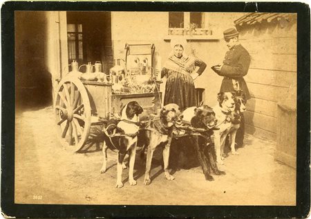 Carro trainato da cani con soldato e donna normanna, 1880 circa