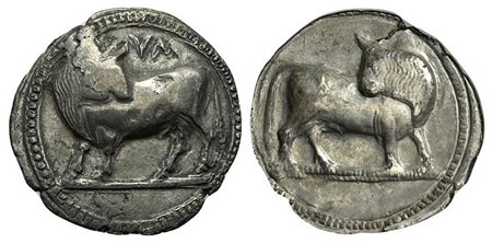 Southern Lucania, Sybaris, Stater, ca. 550-510 BC; AR (g 8,03; mm 30; h 12). VΛ, Bull standing l., looking backwards; above, MV (retrograde); Rv. Same type incuse without legend. HNItaly 1729. Lightly toned, good very fine