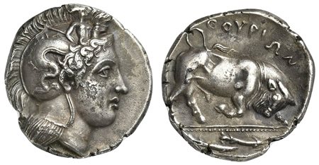 Southern Lucania, Thourioi, Distater, ca. 350-300 BC; AR (g 15,46; mm 27; h 11); Head of Athena r., wearing helmet decorated with Skylla scanning Rv. ΘOYPIΩN, Bull butting r.; in exergue, two fish r. Noe H6; HNItaly 1807. Good ver