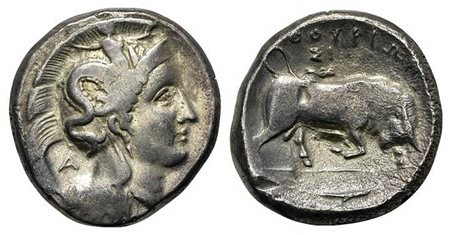 Southern Lucania, Thourioi, Distater, ca. 350-300 BC;. AR (g 15,31; mm 25; h 9). Head of Athena r., wearing crested Corinthian helmet decorated with Skylla throwing a stone, and single-pendant earring; A behind; Rv. ΘOYPIΩN, Bull 