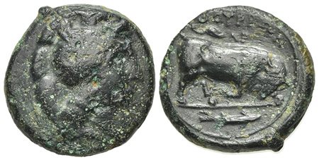 Southern Lucania, Thourioi, ca. 325-300 BC; AE (g 7,11; mm 19; h 8). Helmeted head of Athena r., helmet decorated with Skylla holding trident; Rv. ΘOYPIΩN, Bull butting r.; AP above, fish r. in exergue. HNItaly 1918. Near very fin