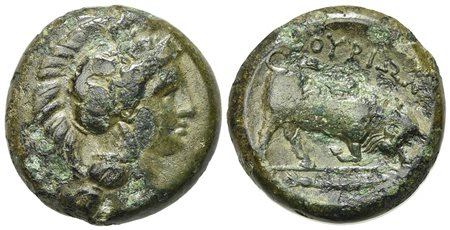 Southern Lucania, Thourioi, ca. 325-300 BC; AE (g 13,76; mm 23; h 3). Helmeted head of Athena r., helmet decorated with Skylla holding trident; Rv. ΘOYPIΩN, Bull butting r.; fish r. in exergue. HNItaly 1918. Near very fine