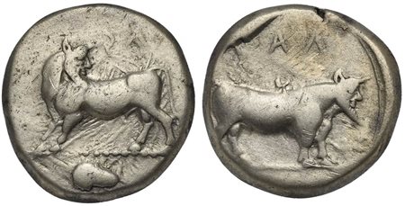 Bruttium, Laos, Stater, ca. 480-460 BC. AR (g 7,99; mm 18; h 3). Man headed bull l., head reverted; acorn in exergue. R/ Man headed bull standing r. HNItaly 2277; SNG ANS 136. Rare, very fine