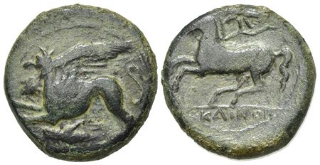 Sicily, "Kainon", ca. 360-340 BC. AE (g 8,60; mm 22; h 12). Griffin springing l.; below, grasshopper l.; Rv. KAINON, Horse prancing l., trailing rein; star above. Campana 3; CNS 15; SNG ANS 1176 (Alaesa); HGC 2, 509. Green patina,