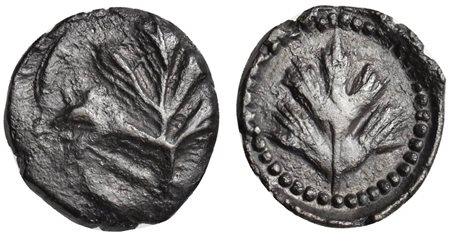 Sicily, Selinos, Obol, ca. 515-470 BC. AR (g 0,42; mm 10; h 5). Selinon leaf; Rv. Selinon leaf dotted border. SNG Copenhagen 595-6; SNG ANS 687; HGC 2, 1219. Rare, cabinet tone, near extremely fine