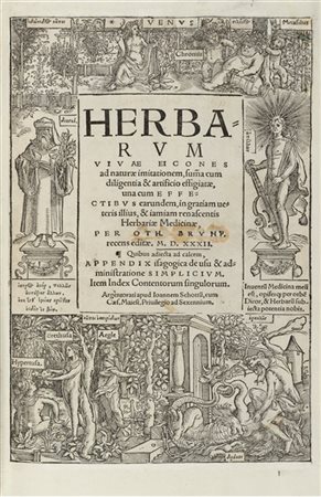 BRUNFELS, Otto (ca. 1489-1534) - Herbarum vivae eicones ad naturae imitationem
