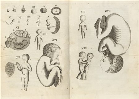CANGIAMILA Francesco-Emanuele (1702-1763) - Embriologia sacra, overo delluffiz