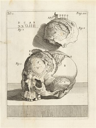 GAGLIARDI Domenico (1660-1725) - Anatomes ossium novis inventis illustratae. Ro